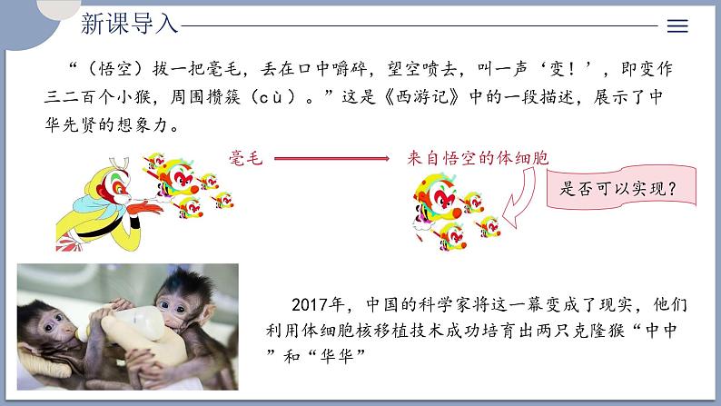 2.2.3动物体细胞核移植技术和克隆动物 课件（内嵌视频）第3页