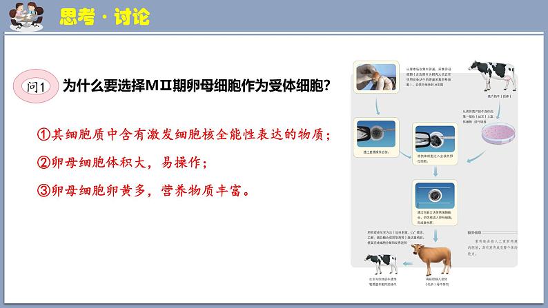 2.2.3动物体细胞核移植技术和克隆动物 课件（内嵌视频）第8页