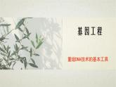 3.1第三章第一节  重组DNA技术的基本工具 课件（内嵌视频）