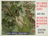 3.1第三章第一节  重组DNA技术的基本工具 课件（内嵌视频）