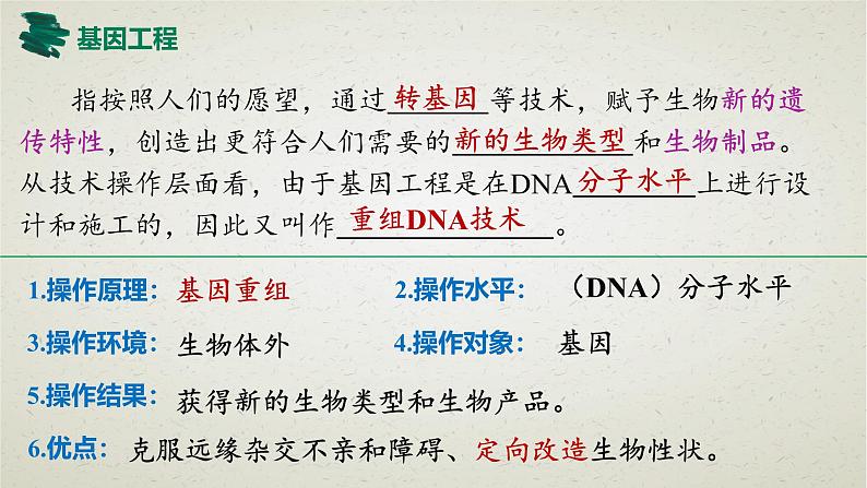 3.1第三章第一节  重组DNA技术的基本工具 课件（内嵌视频）第4页