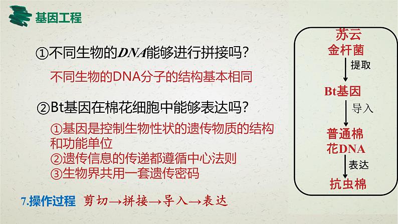 3.1第三章第一节  重组DNA技术的基本工具 课件（内嵌视频）第5页