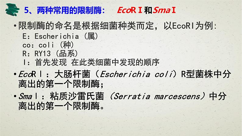 3.1第三章第一节  重组DNA技术的基本工具 课件（内嵌视频）第8页