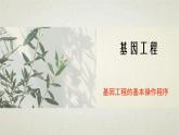 3.2第三章第二节  基因工程的基本操作程序 课件（内嵌视频）