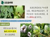 3.2第三章第二节  基因工程的基本操作程序 课件（内嵌视频）