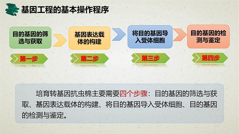 3.2第三章第二节  基因工程的基本操作程序 课件（内嵌视频）第4页