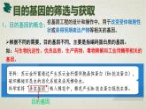 3.2第三章第二节  基因工程的基本操作程序 课件（内嵌视频）