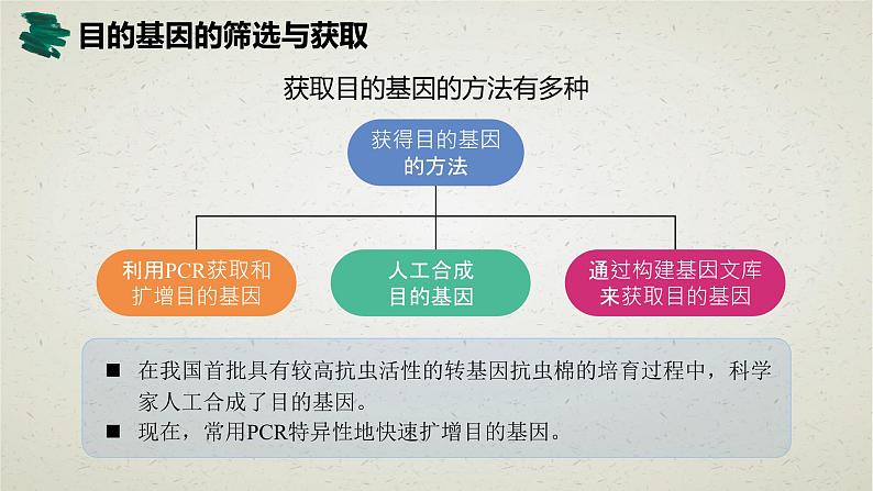 3.2第三章第二节  基因工程的基本操作程序 课件（内嵌视频）第6页