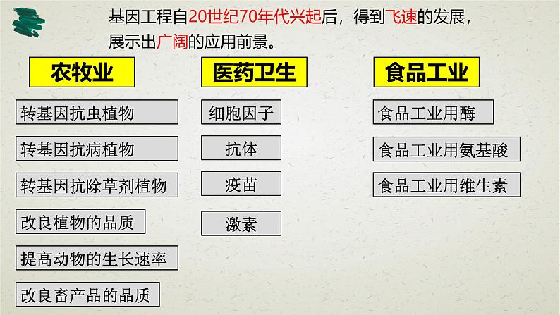 3.3第三章第三节  基因工程的应用 课件第3页