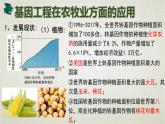 3.3第三章第三节  基因工程的应用 课件