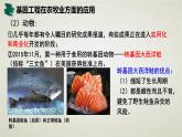 3.3第三章第三节  基因工程的应用 课件