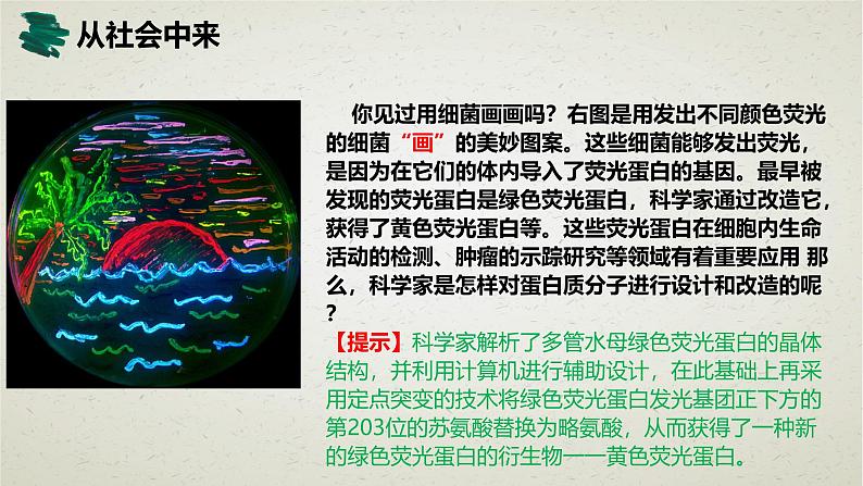 3.4第三章第四节  蛋白质工程的原理和应用 课件第2页