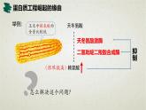 3.4第三章第四节  蛋白质工程的原理和应用 课件