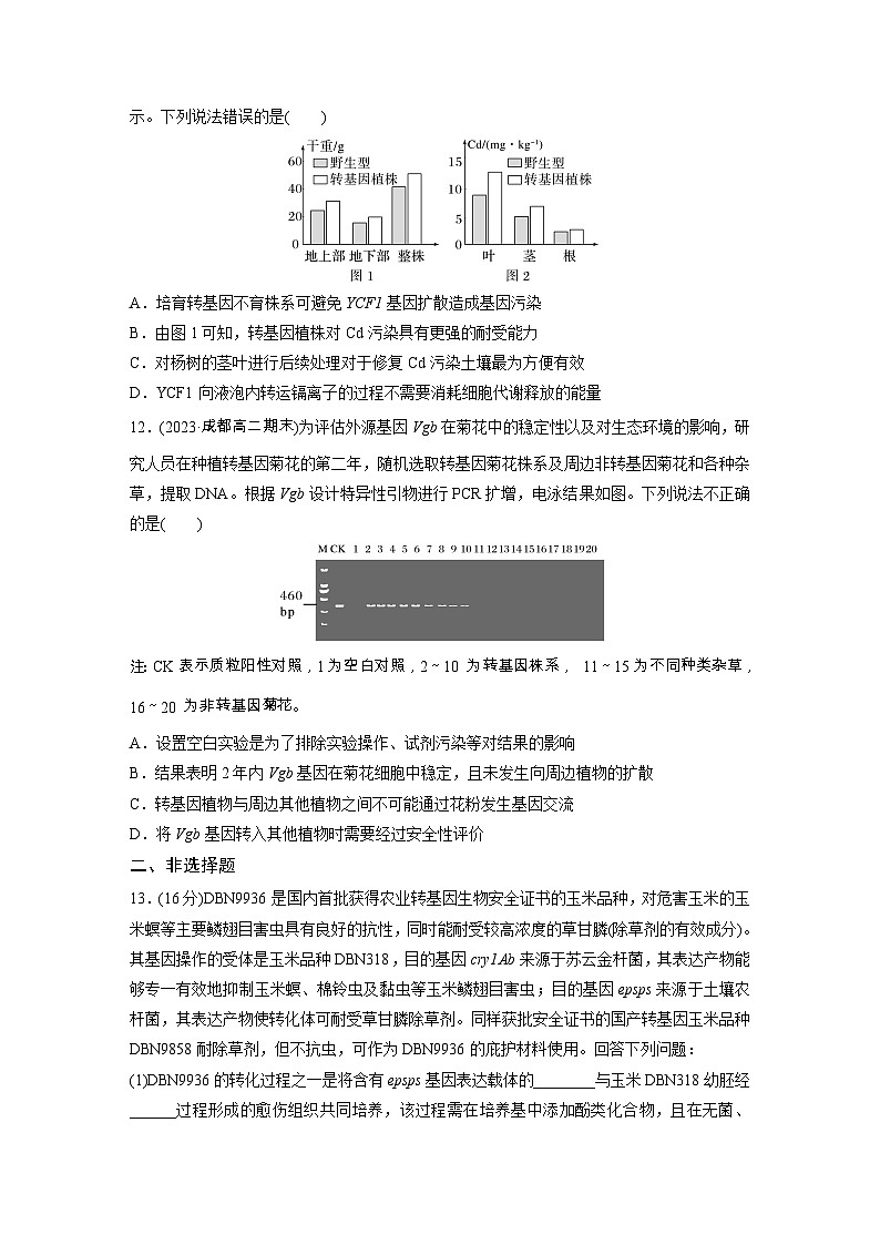 4.1转基因产品的安全性 同步练习（含答案）第3页