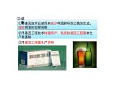 4.1转基因产品的安全性 课件