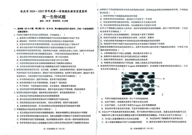 安徽省安庆市2024-2025学年第一学期期末统考高一生物试题及答案高一生物试题第1页