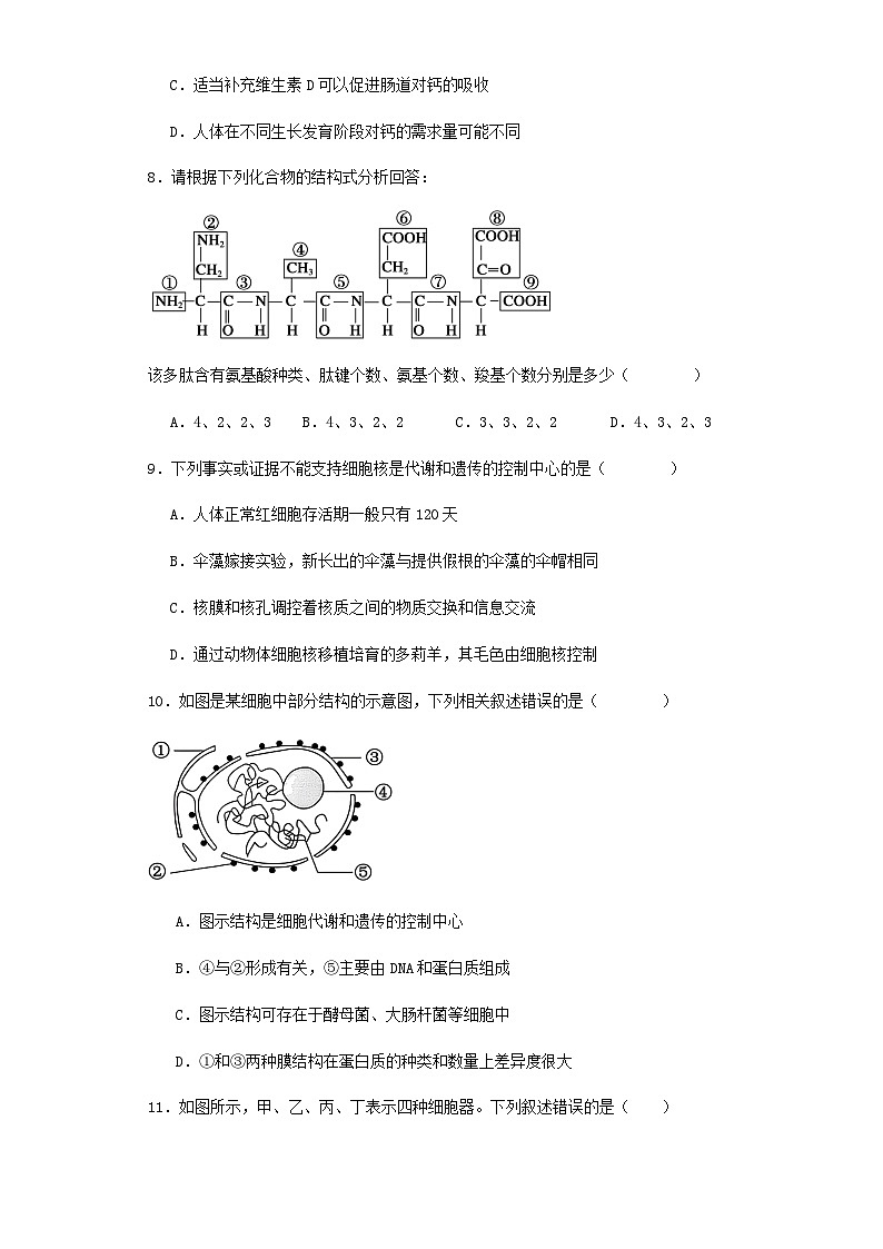 新疆乌鲁木齐市2023_2024学年高一生物上学期1月期末考试含解析第3页