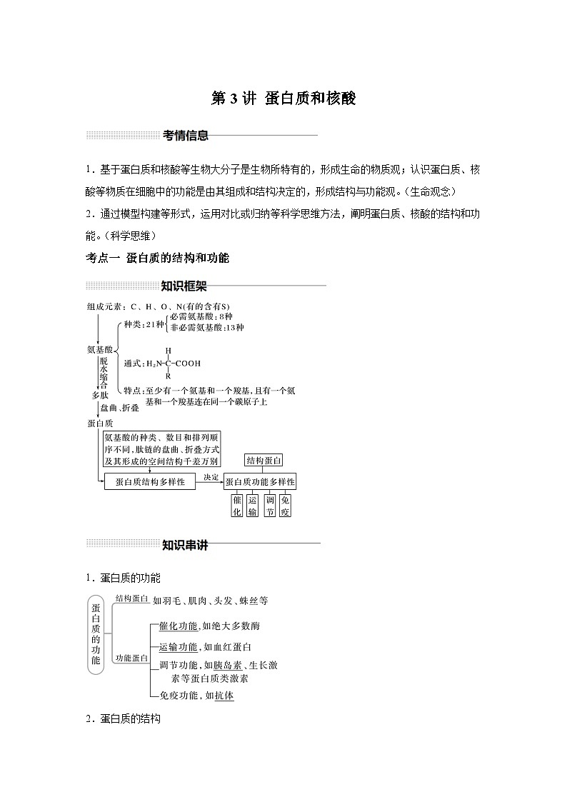高中生物一轮复习讲练第3讲蛋白质和核酸含解析答案第1页