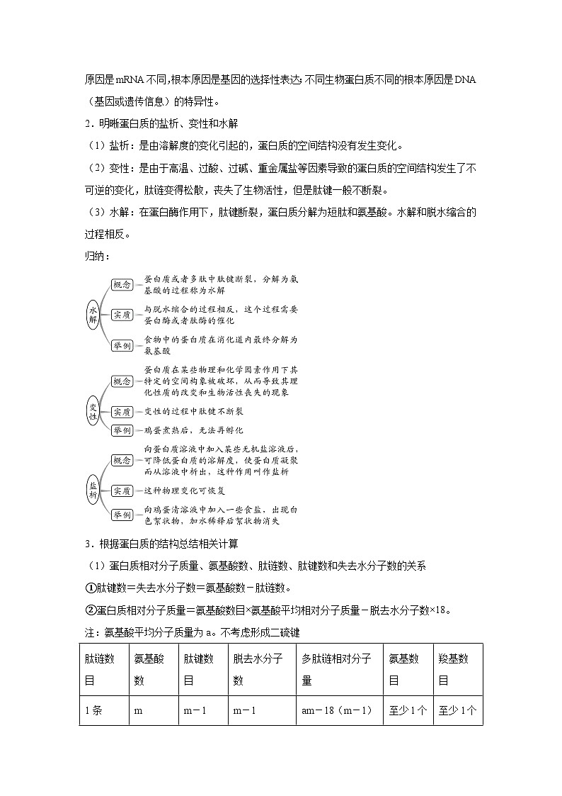 高中生物一轮复习讲练第3讲蛋白质和核酸含解析答案第3页