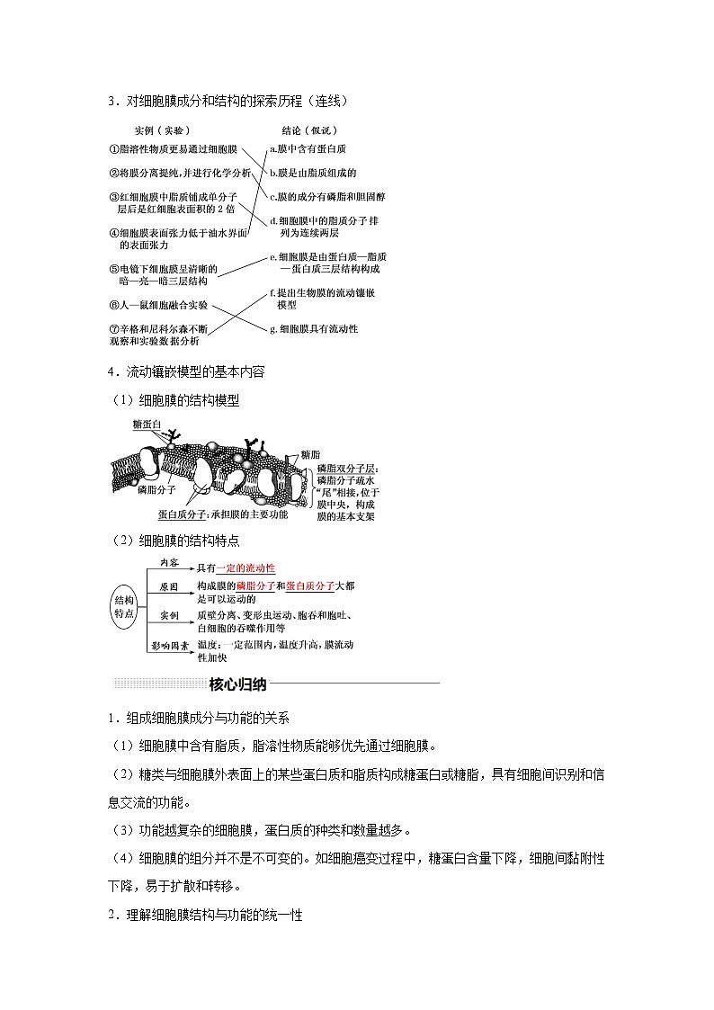 高中生物一轮复习讲练第4讲细胞膜和细胞核含解析答案第2页