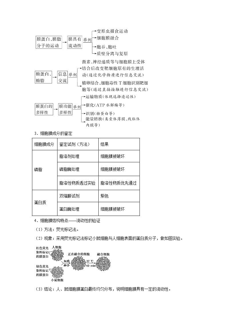 高中生物一轮复习讲练第4讲细胞膜和细胞核含解析答案第3页