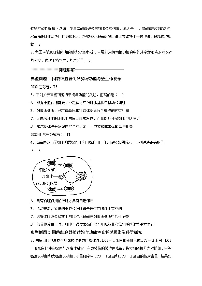 高中生物一轮复习讲练第5讲细胞器和生物膜系统.含解析答案第3页