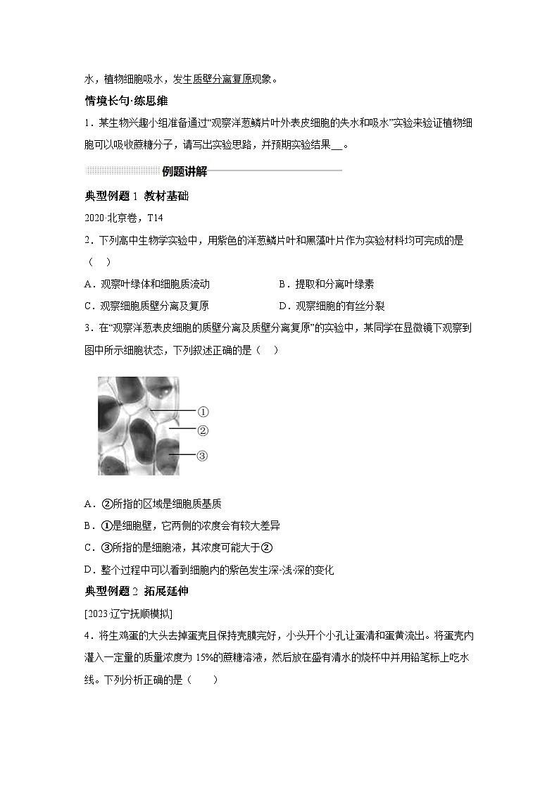 高中生物一轮复习讲练第6讲物质运输含解析答案第2页