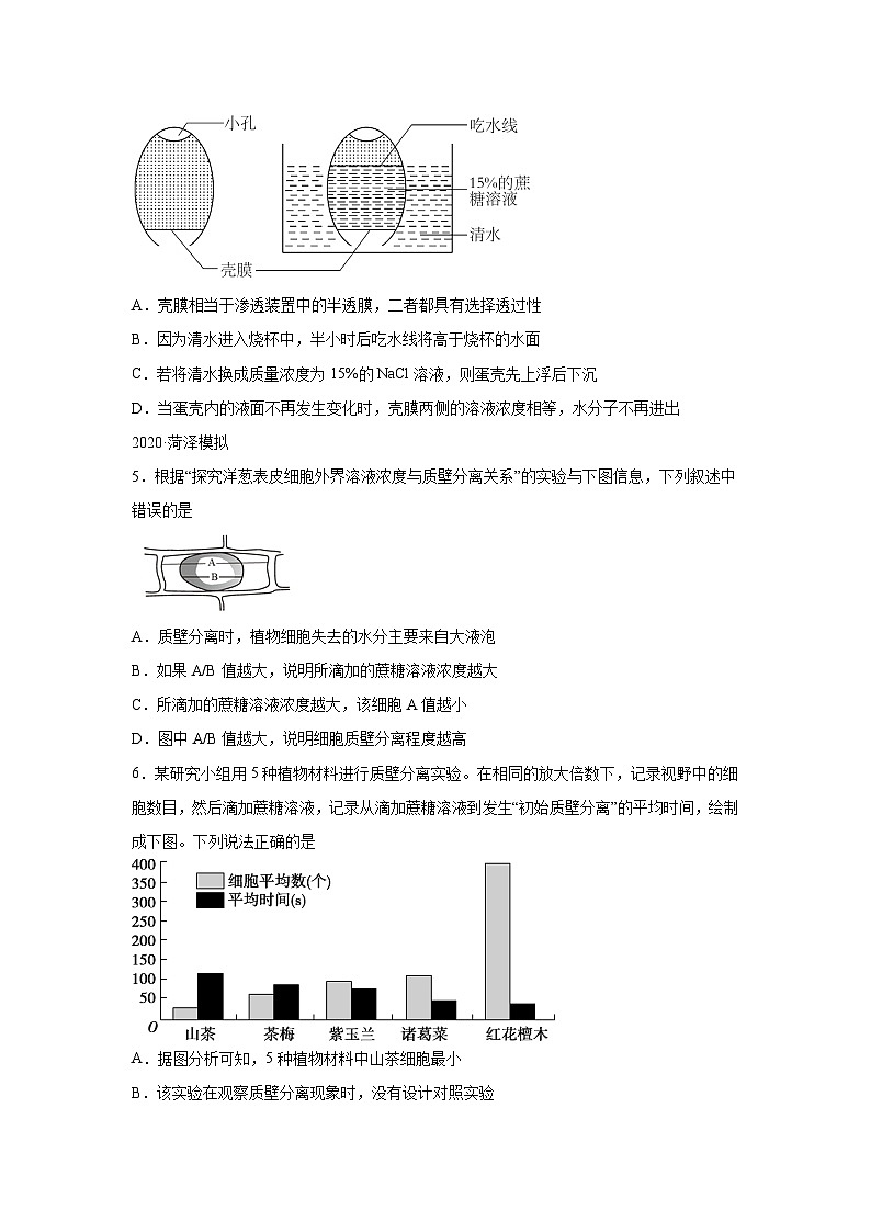 高中生物一轮复习讲练第6讲物质运输含解析答案第3页