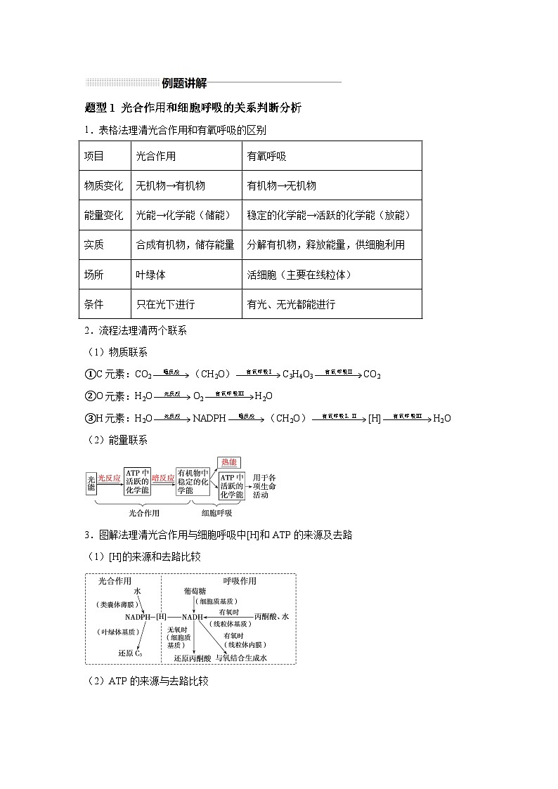高中生物一轮复习讲练第10讲细胞代谢综合分析.含解析答案第3页