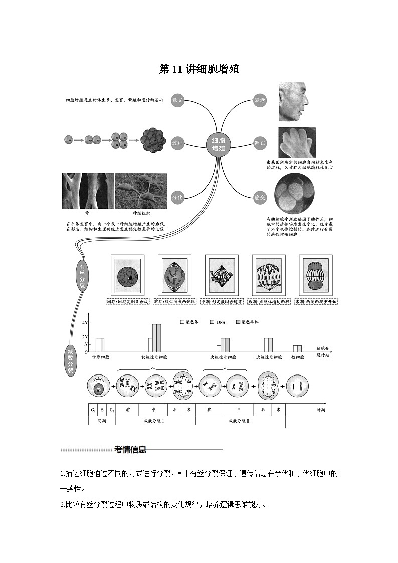 高中生物一轮复习讲练第11讲细胞增殖含解析答案第1页