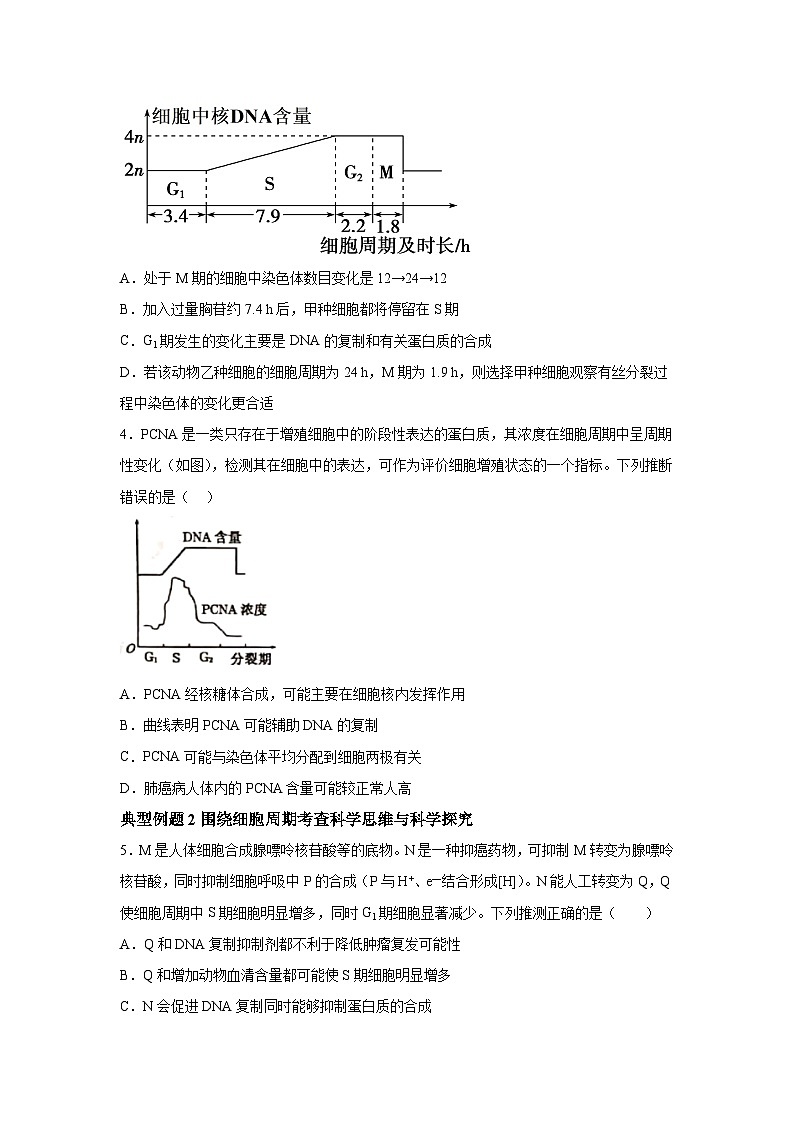 高中生物一轮复习讲练第11讲细胞增殖含解析答案第3页
