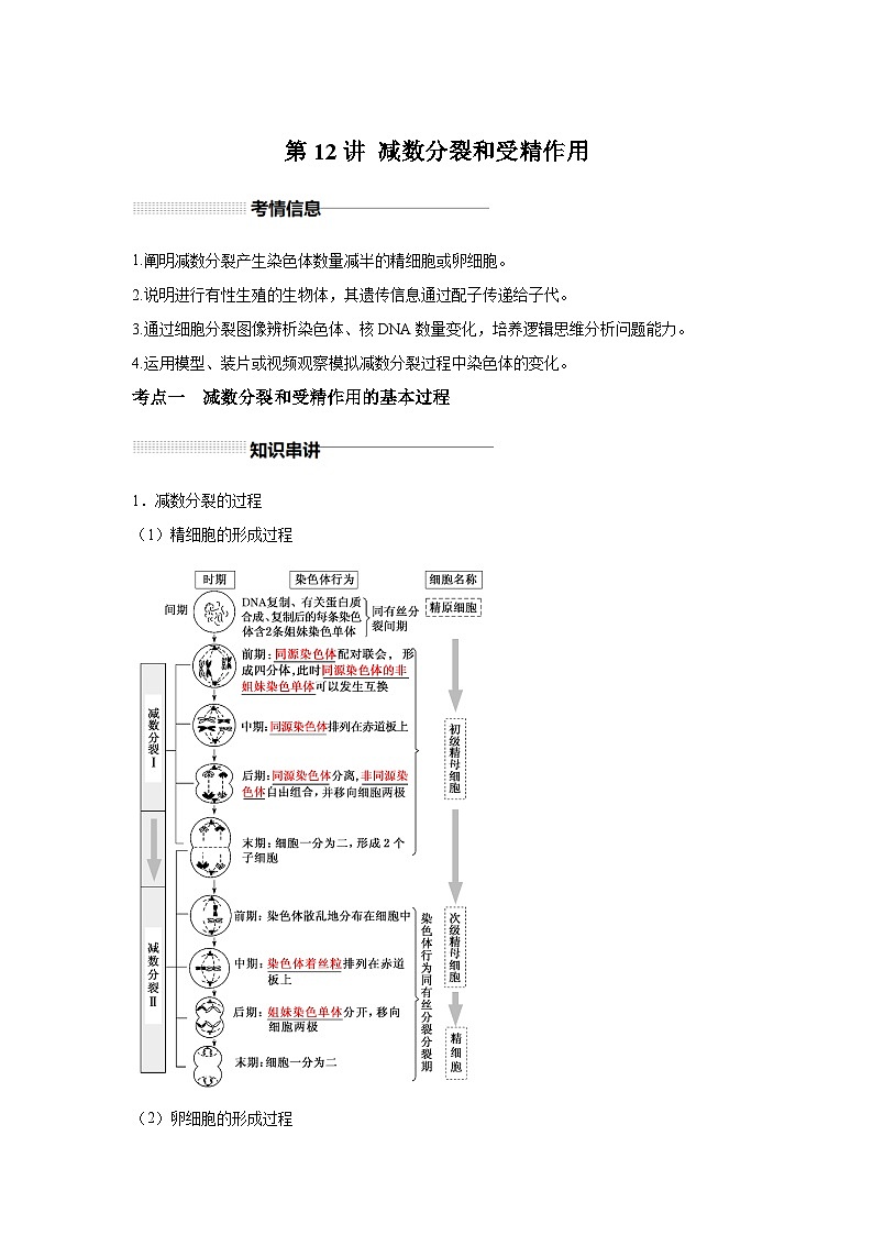 高中生物一轮复习讲练第12讲减数分裂和受精作用含解析答案第1页