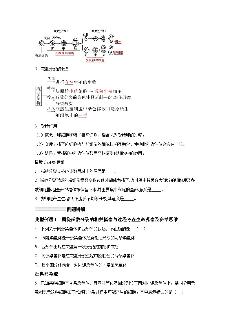 高中生物一轮复习讲练第12讲减数分裂和受精作用含解析答案第2页