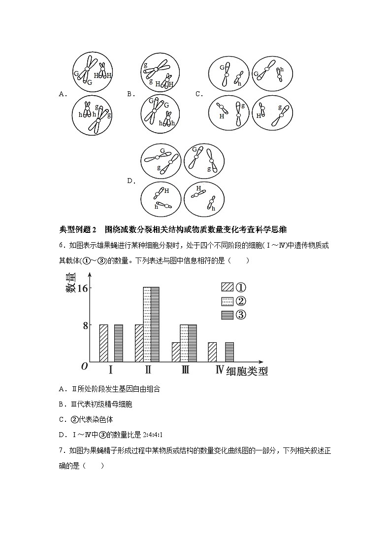 高中生物一轮复习讲练第12讲减数分裂和受精作用含解析答案第3页