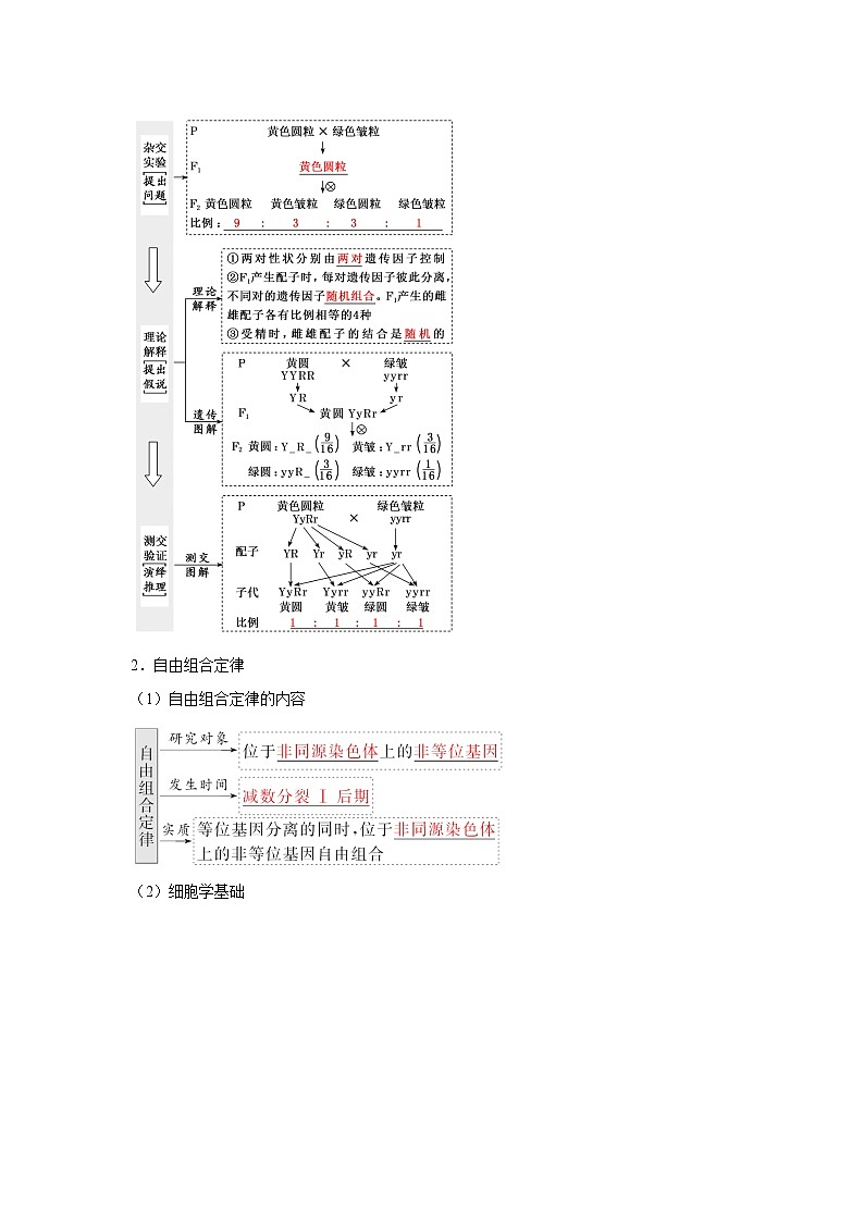 高中生物一轮复习讲练第16讲自由组合定律含解析答案第2页
