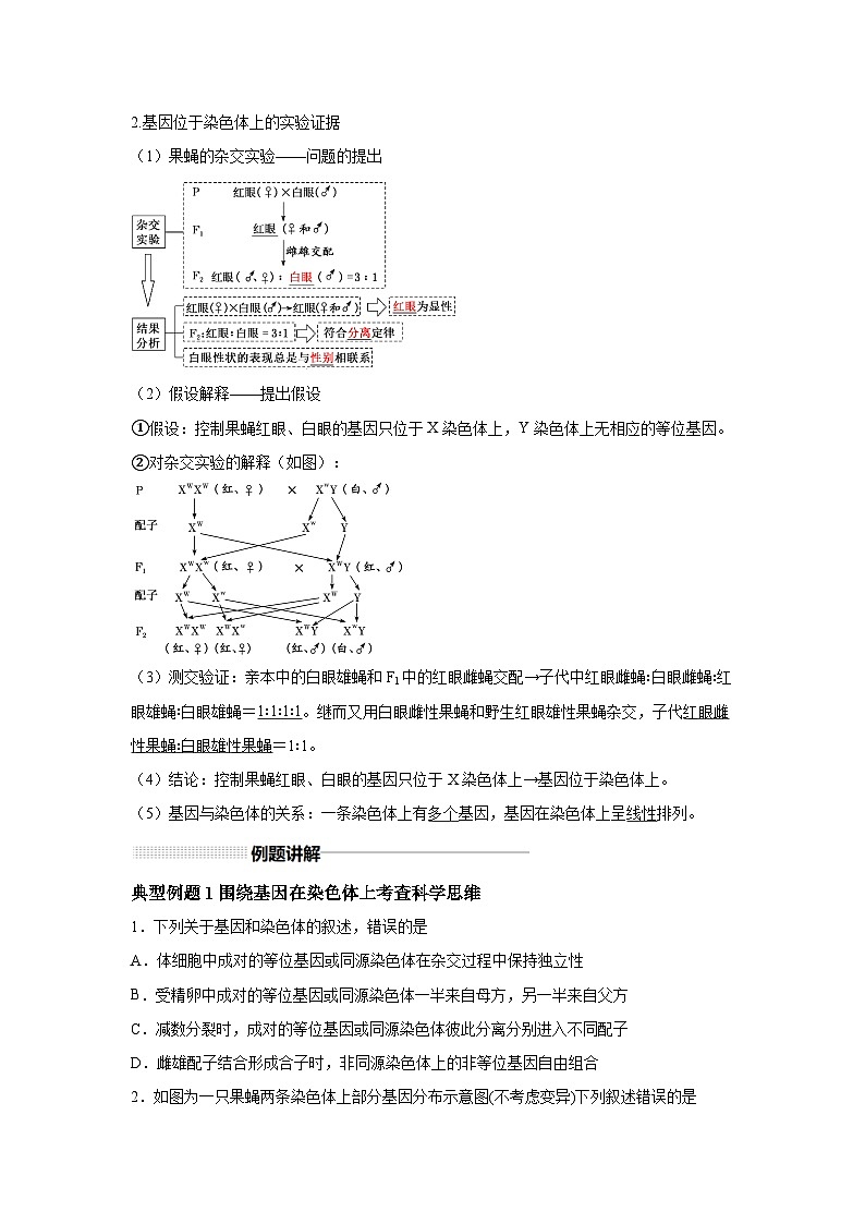 高中生物一轮复习讲练第17讲伴性遗传和人类遗传病含解析答案第2页