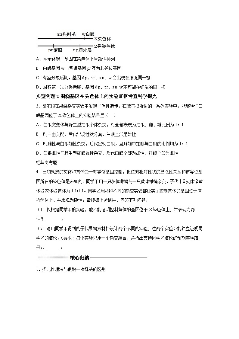 高中生物一轮复习讲练第17讲伴性遗传和人类遗传病含解析答案第3页