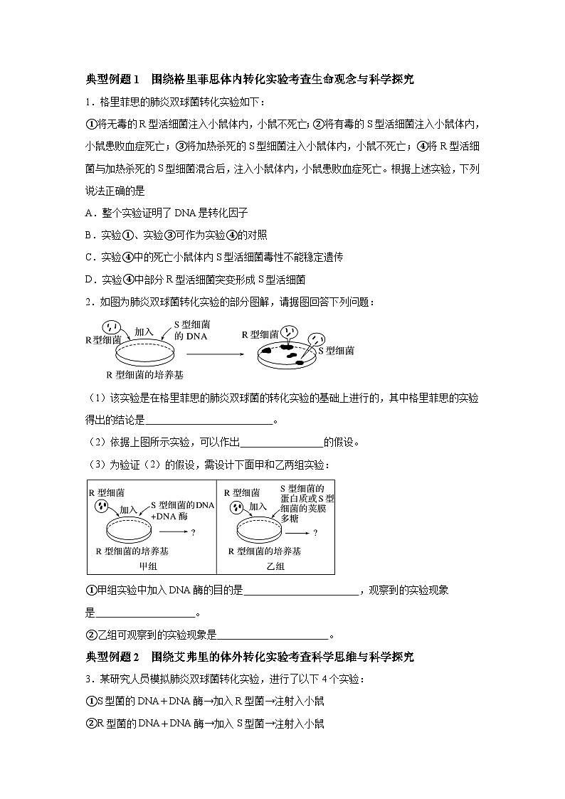 高中生物一轮复习讲练第19讲DNA是主要的遗传物质含解析答案第2页
