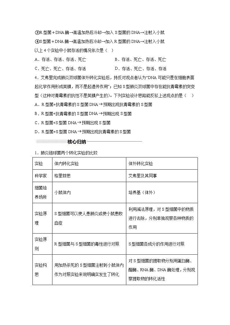 高中生物一轮复习讲练第19讲DNA是主要的遗传物质含解析答案第3页