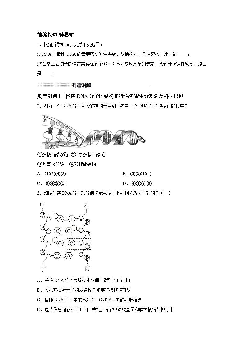 高中生物一轮复习讲练第20讲DNA分子的结构、复制以及基因的本质含解析答案第2页