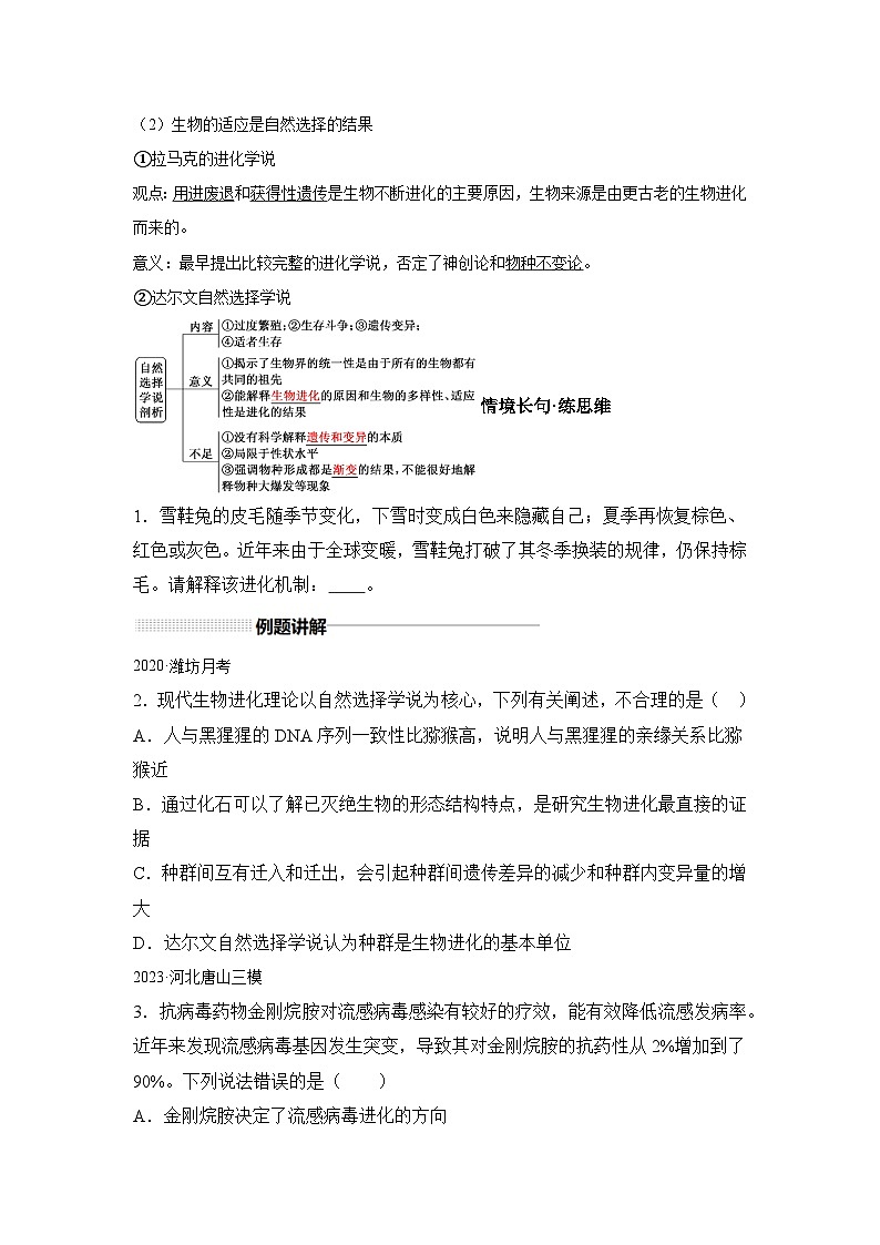 高中生物一轮复习讲练第23讲生物的进化含解析答案第2页
