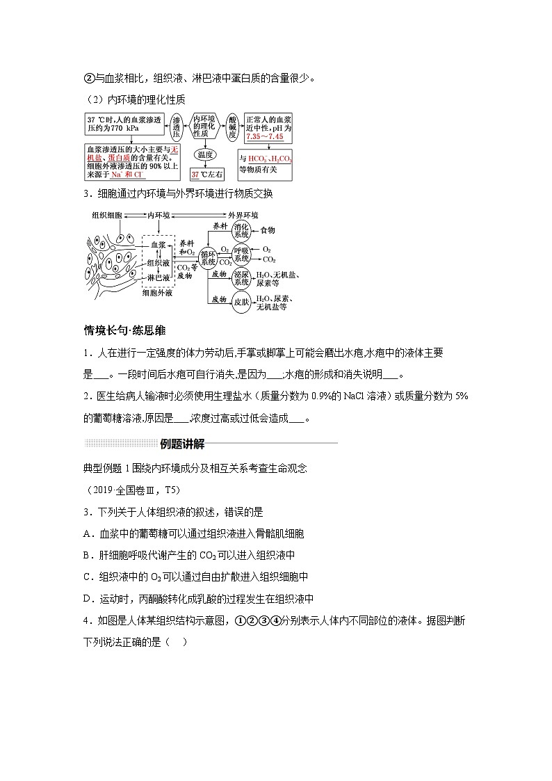 高中生物一轮复习讲练第24讲内环境与稳态含解析答案第2页