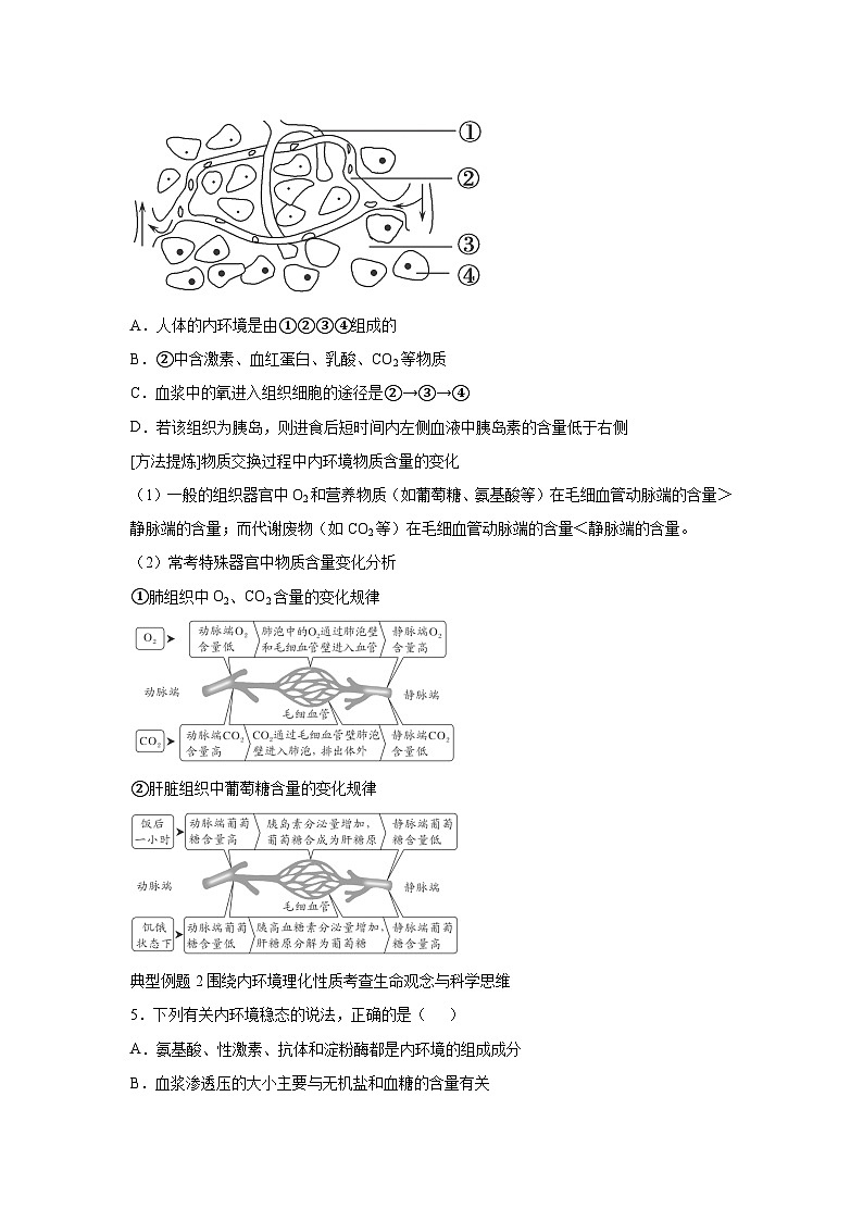 高中生物一轮复习讲练第24讲内环境与稳态含解析答案第3页
