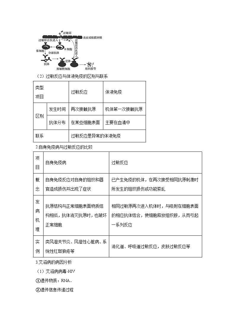 高中生物一轮复习讲练第29讲免疫失调及免疫学应用含解析答案第3页