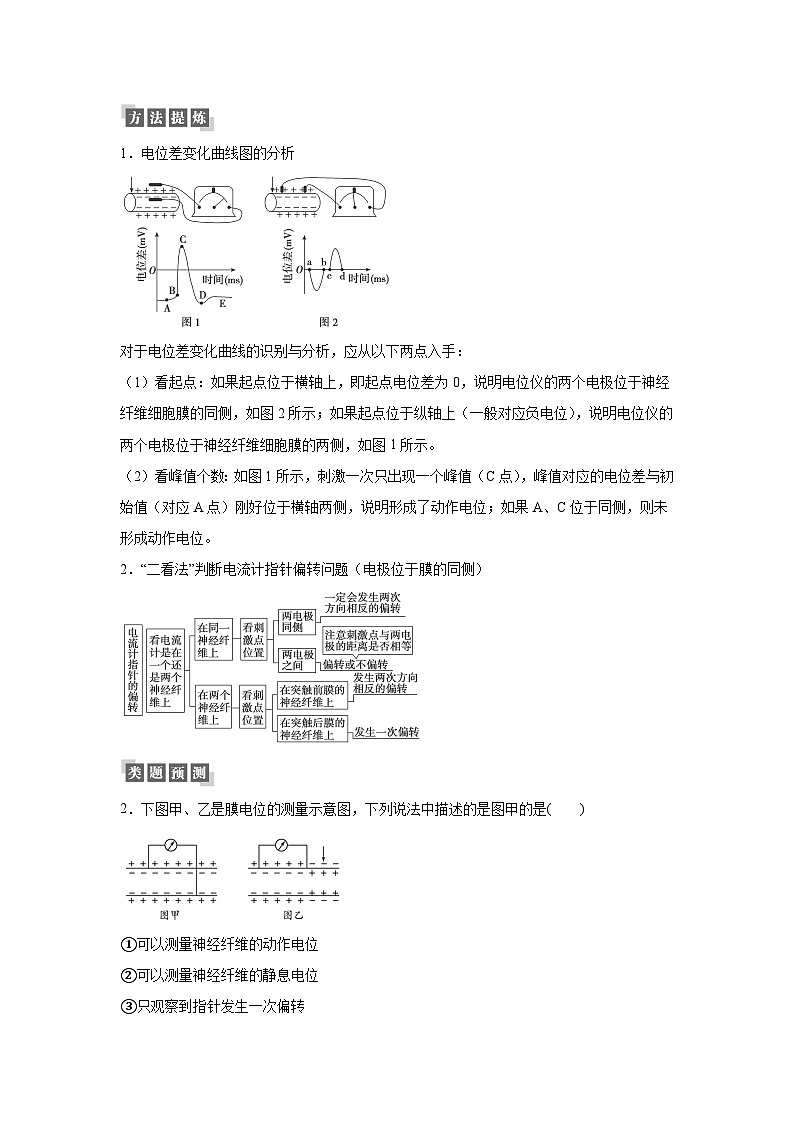 高中生物一轮复习讲练第30讲动物生命活动调节综合含解析答案第2页
