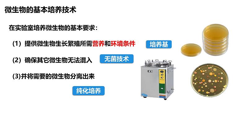 1.2.1微生物的培养技术及应用（第一课时）课件（内嵌视频）第5页