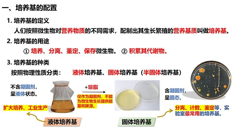 1.2.1微生物的培养技术及应用（第一课时）课件（内嵌视频）第6页