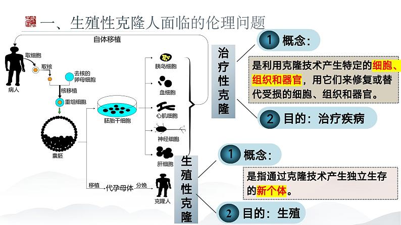 4.2关注生殖性克隆人 课件（内嵌视频）第6页