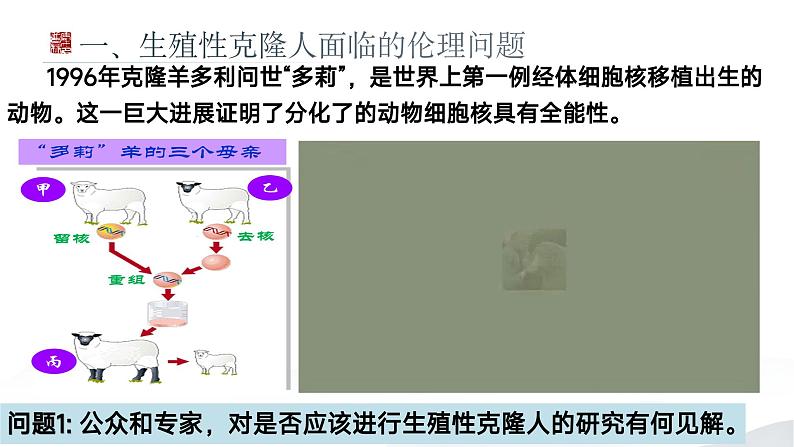 4.2关注生殖性克隆人 课件（内嵌视频）第8页