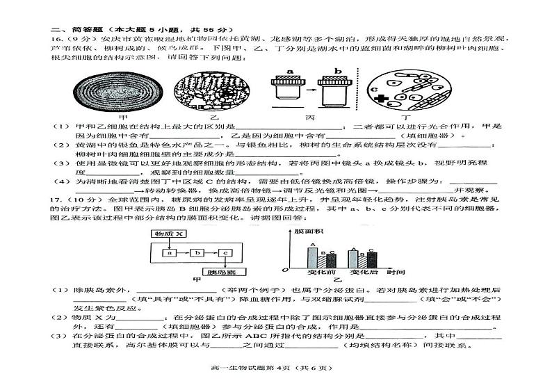 安徽省安庆市2024-2025学年第一学期期末统考高一生物试题及答案 高一生物试题第3页